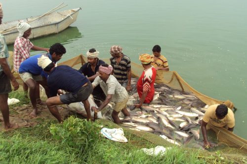 Photo-Jaya-Behera-1